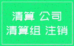 公司注销怎样写说明