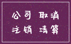 公司无法注销 新政如何处理