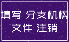 如何在网申请注销分公司
