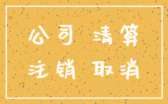 子公司合并注销流程图