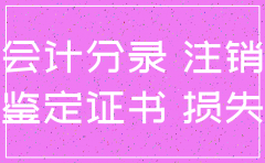 公司注销2年会计分录