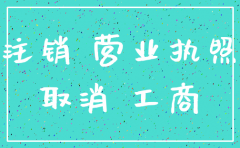 刚开办的公司要注销