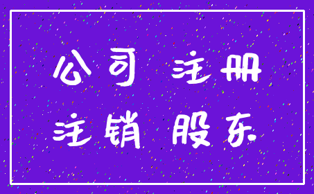 公司 注册_注销 股东