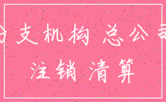 分公司注销后资产归谁所有