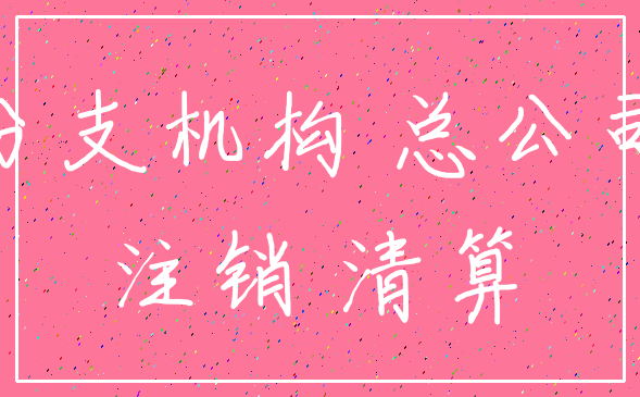 分支机构 总公司_注销 清算