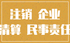 有案件纠纷可以注销公司吗