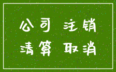 有限公司注销备案委托书