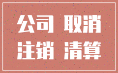 深圳公司注销了 公司的车牌怎么办理流程