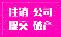 广州市公司简易注销条件