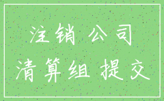 支公司注销