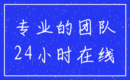 专业的团队_24小时在线