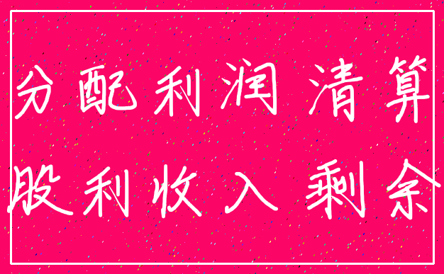 分配利润 清算_股利收入 剩余