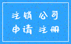公司注销申请人一栏写谁
