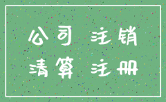 实际控制人 申请公司注销