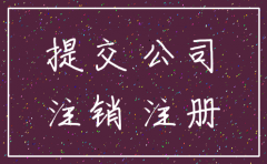 杭州公司注销登什么报