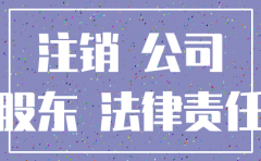 公司简易注销股东会决议债权债务