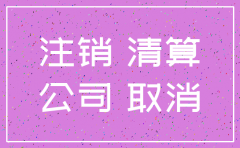 给客户的公司注销情况说明