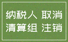 新公司一般纳税人注销