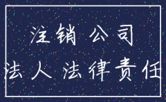 论公司注销后法律责任