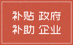 公司注销 后 政府补助