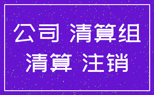 公司 清算组_清算 注销