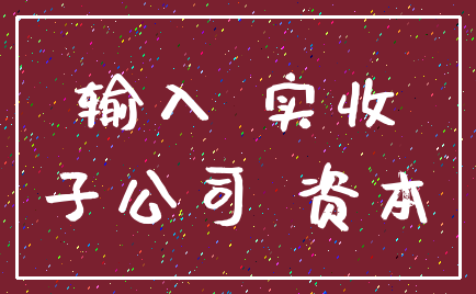 输入 实收_子公司 资本