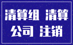 债务在身公司注销