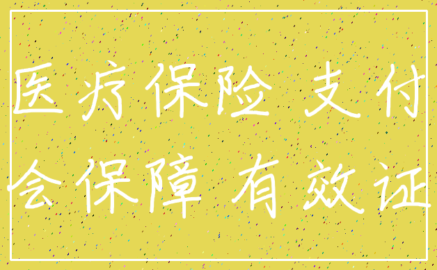 医疗保险 支付_社会保障 有效证件