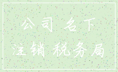 名下有一家公司怎么注销