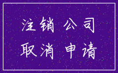 网上简易注销公司登记