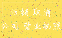 什么政策好多公司注销