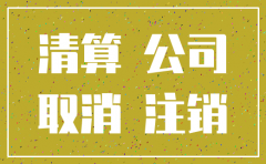 注销公司现金借方