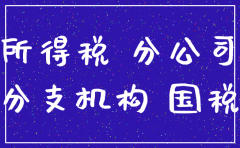 所得税汇总分公司注销