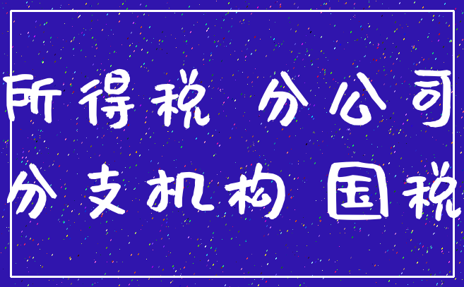 所得税 分公司_分支机构 国税