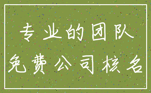 专业的团队_免费公司核名