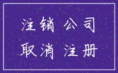 2018那公司注销潮