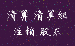 公司注销清算小组由哪些成员组成