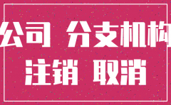 上海一网通办怎么注销公司