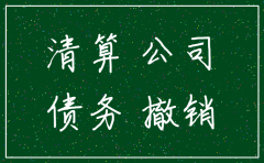 公司注销承担债务说明