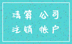 公司注销的财务清算报告