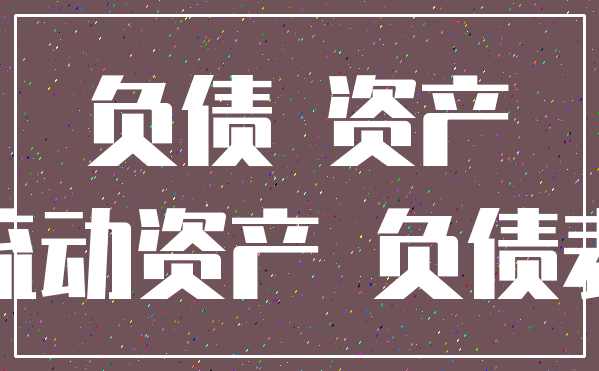 负债 资产_流动资产 负债表