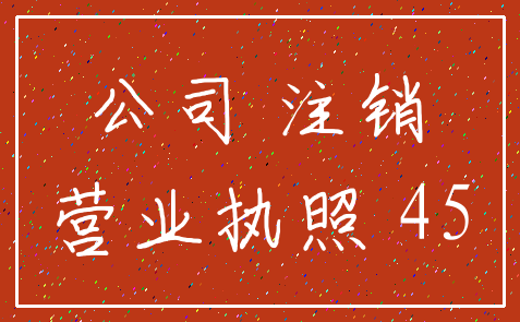公司 注销_营业执照 45