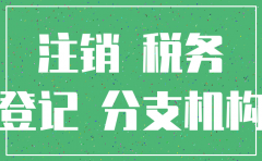 分公司注销分支机构还要重新备案