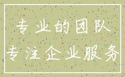 专业的团队_专注企业服务