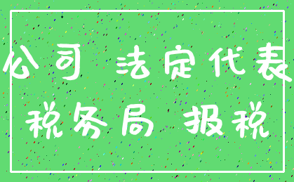 公司 法定代表_税务局 报税