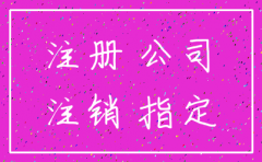 公司登记备案申请书注销填写范本