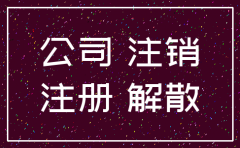 成都 外资公司注销