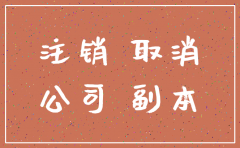 合肥公司注销的流程