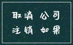 公司没有收入 想要注销