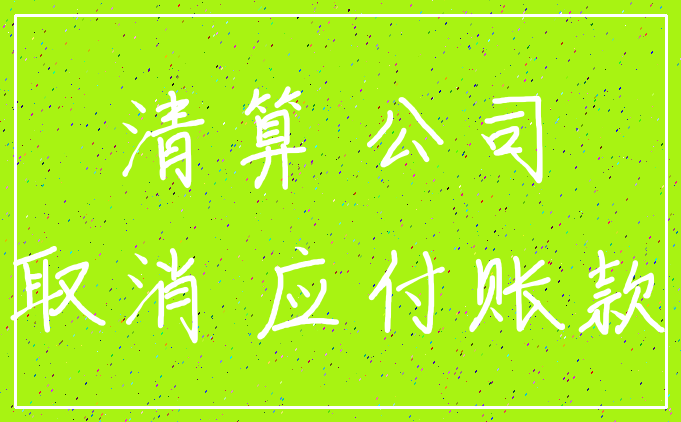 清算 公司_取消 应付账款